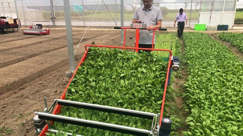 散养户用饲料搅拌机：如何选对性价比之选**